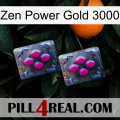 Zen Power Gold 3000 01